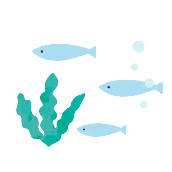 根菜のイラスト